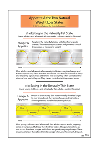 The Naturally Thin / Fat Experience Cycles - Normal (pg. 709)