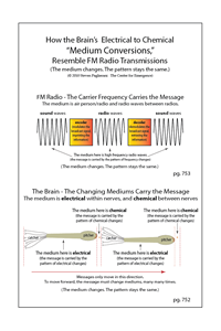 How Medium Conversions Transmit Information (FM Radio, within the Brain) (pgs 752, 753)