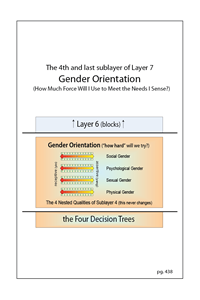 The 4 Gender Orientations - Intro
