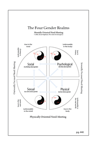 The Wise Mens Map of Gender Orientation